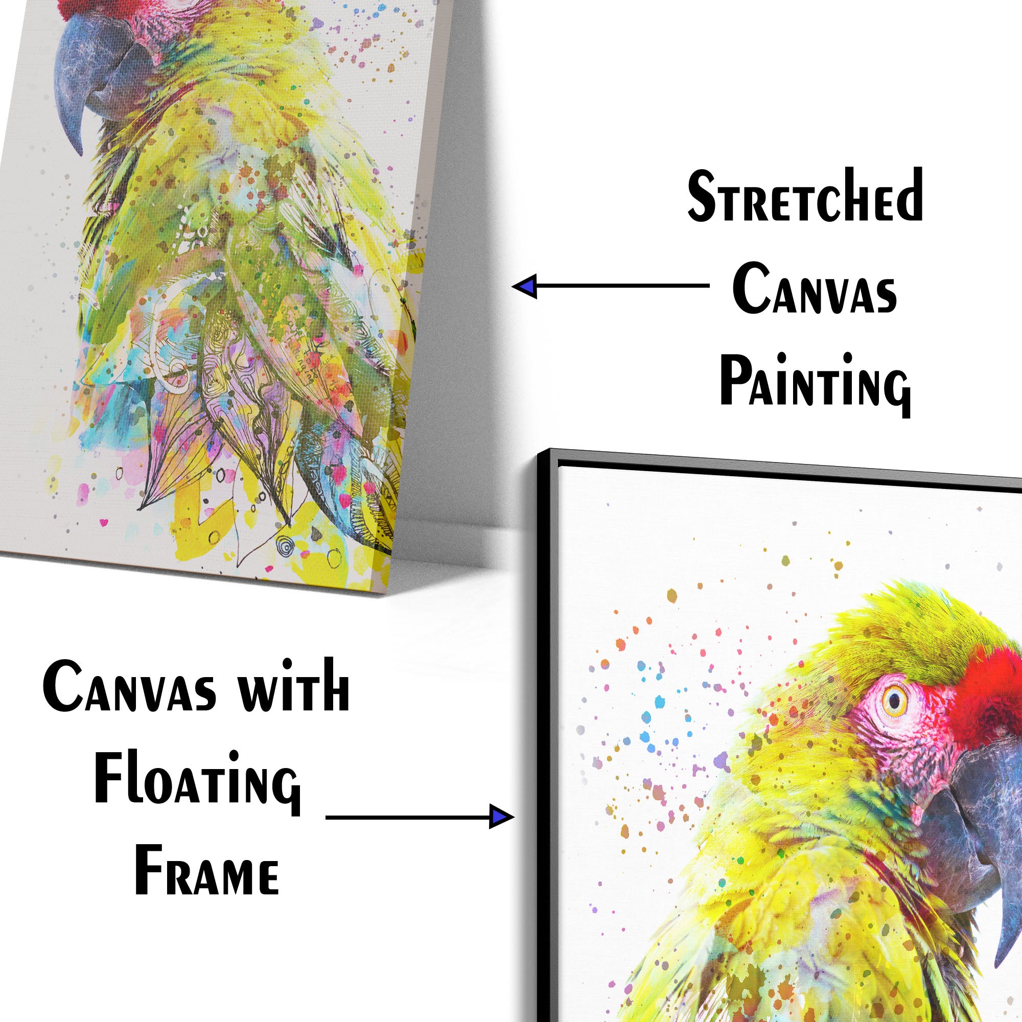 Colourful Parrot Wall Art Canvas Wall Painting