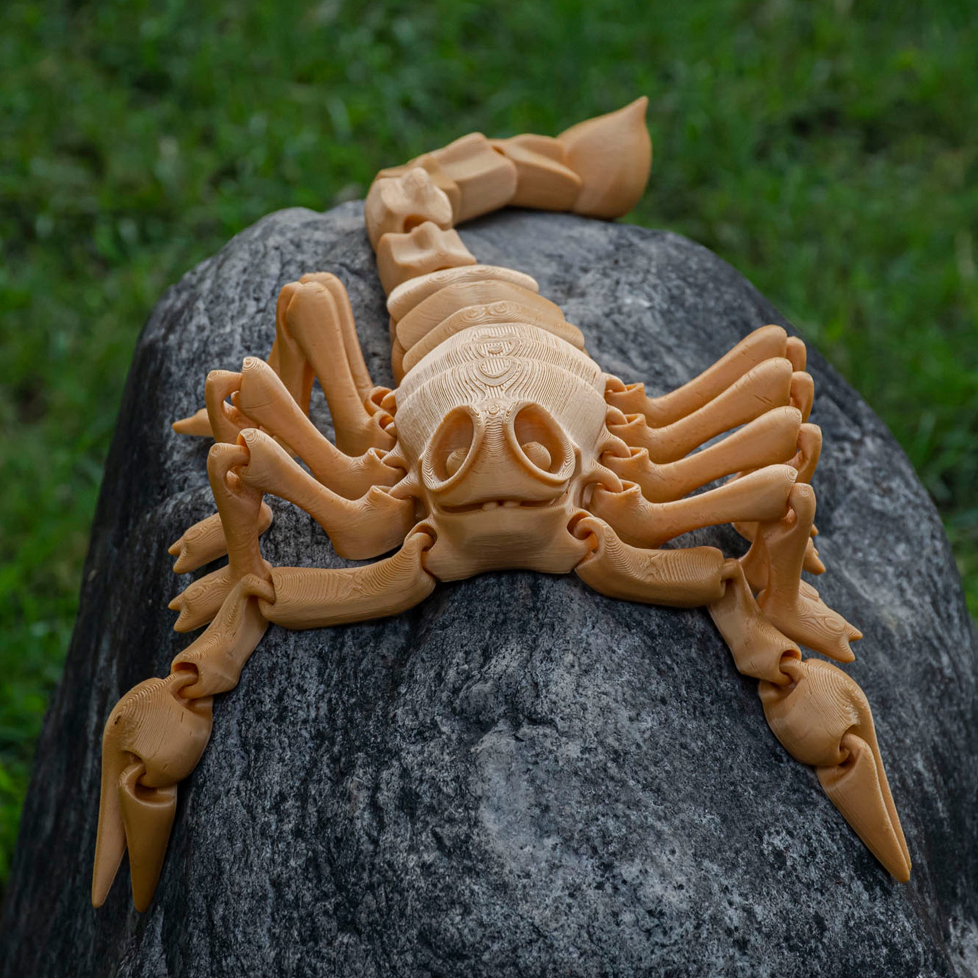 3D Scorpion Toy 