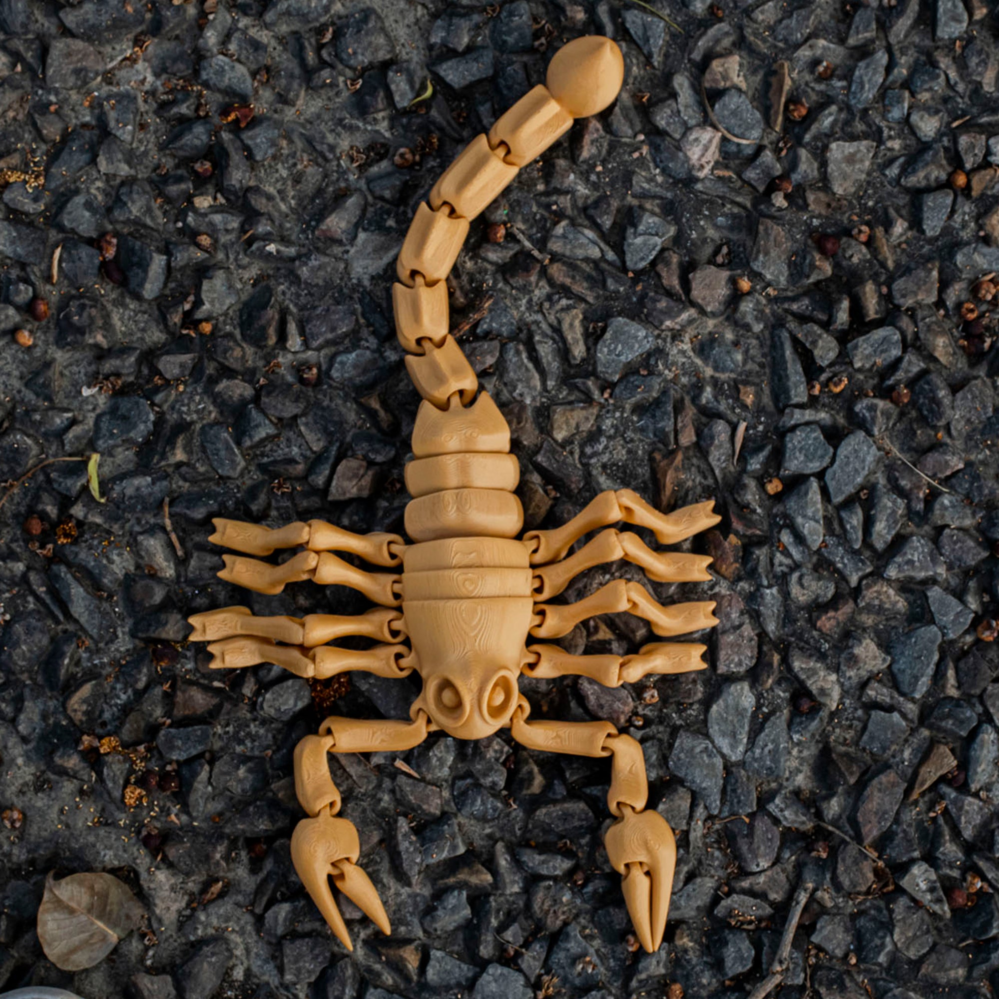 3D Scorpion Toys